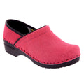 PROFESSIONAL Fuchsia Fur Leather Clogs